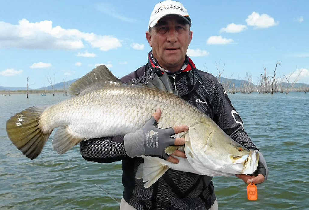 Phil Lyons with a metre-long barramundi he caught at Peter Faust Dam. Phil Lyons with a metre-long barramundi he caught at Peter Faust Dam.